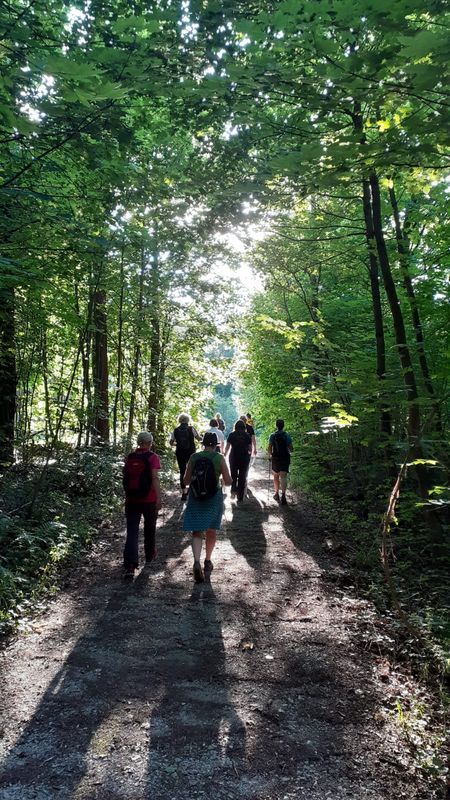 Fasten Wandern Mit Leib Und Seele Nach Dr Buchinger Hotel Gutsalm Am Harlachberg Andrea 7247